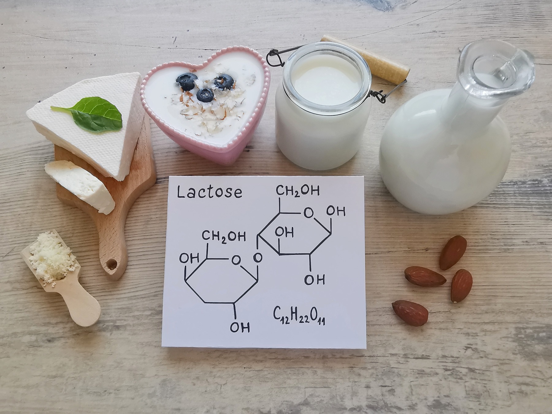 lactose-intolerance-nutrition